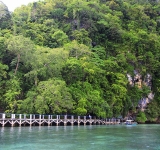 如何在菲律賓開設一人公司(OPC, one person company)?