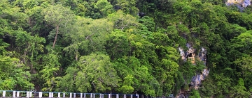 塔碰洞穴(Tabon Cave, Quezon Palawan)